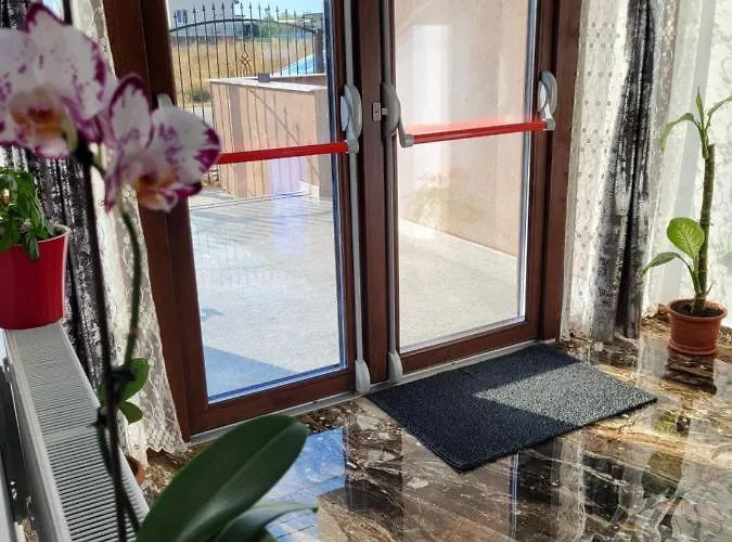 Damar Костинешти